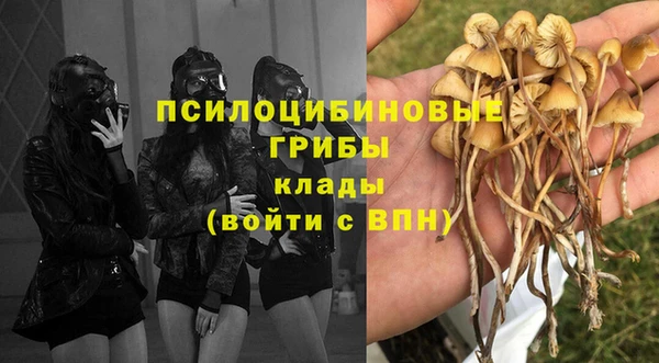 трава Бугульма