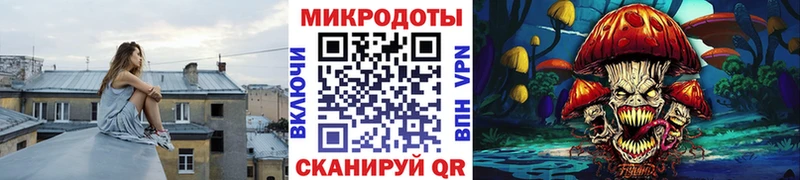 Галлюциногенные грибы Psilocybine cubensis  Купить закладки  Темрюк 